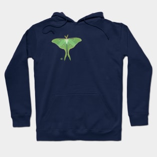 Actual size-ish Luna Moth (Actias luna) Hoodie